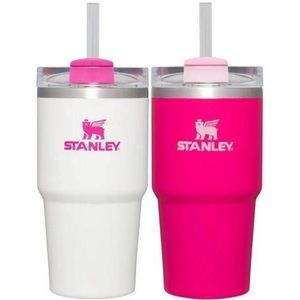 Stanley 2pk 20oz Stainless Steel Tumblers